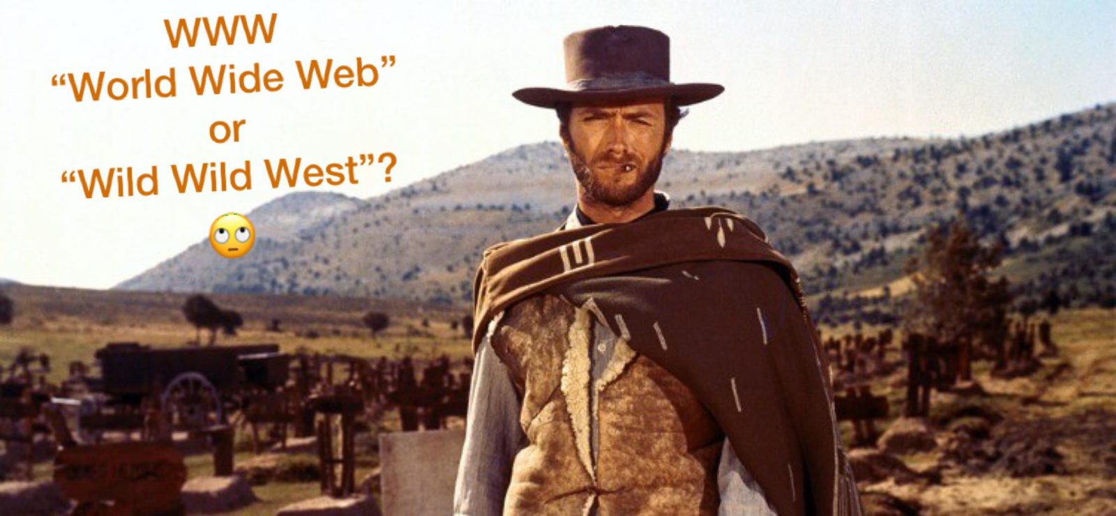 Www World Wide Web Or Wild Wild West Bayou Web Design