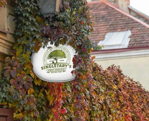 Singletary Tree Service Logo